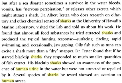 paragraph about sharks